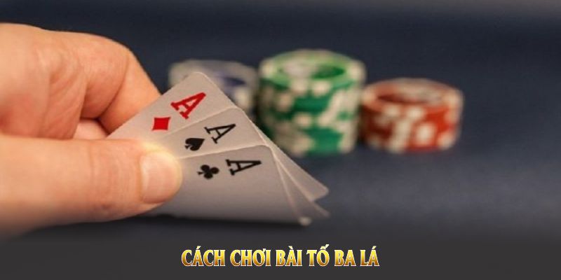 Cách Chơi Bài Tố Ba Lá Cực Chuẩn Để Thắng Lớn Trên F8BET 